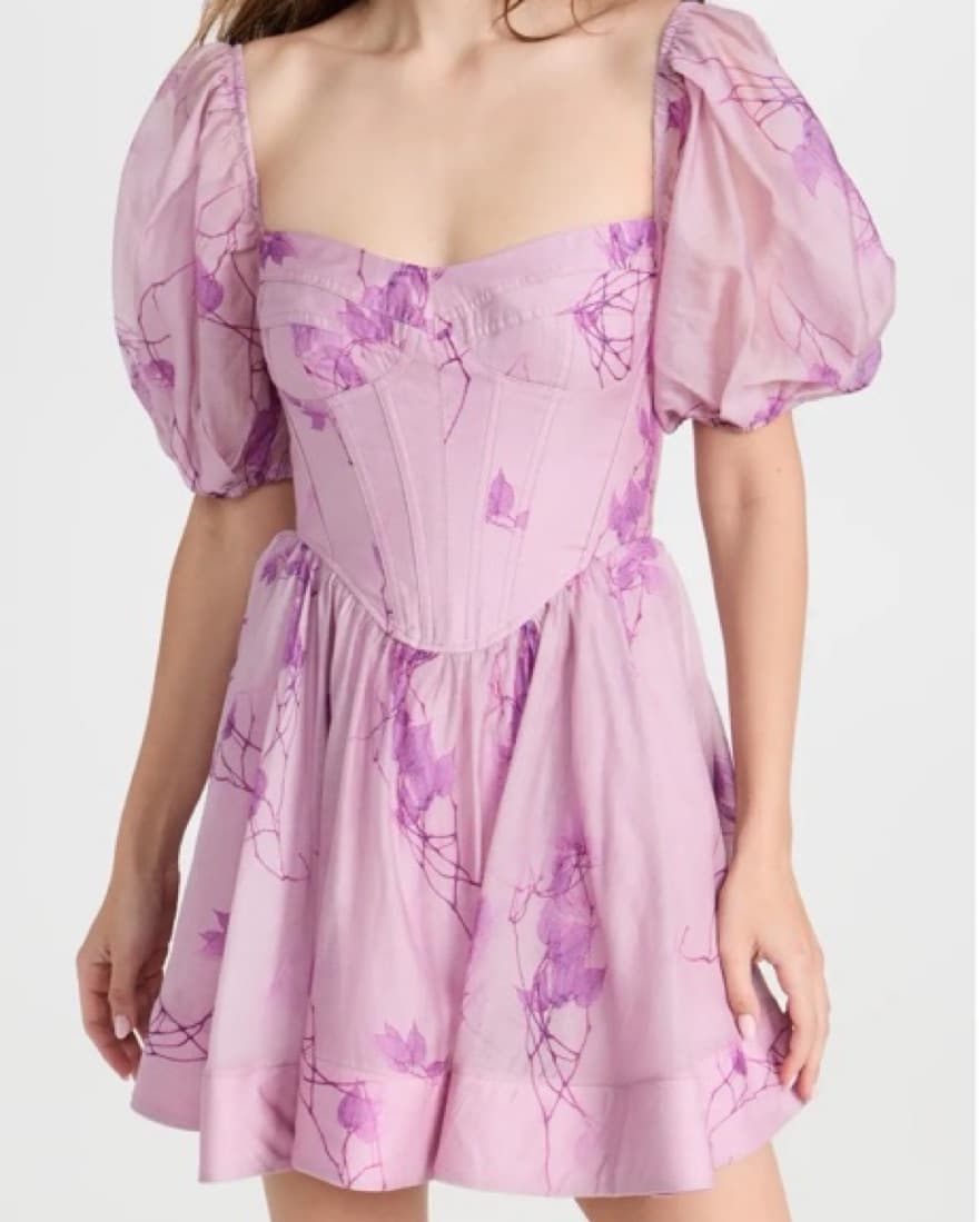 Bardot Kiah Corset Mini Dress - Image 3