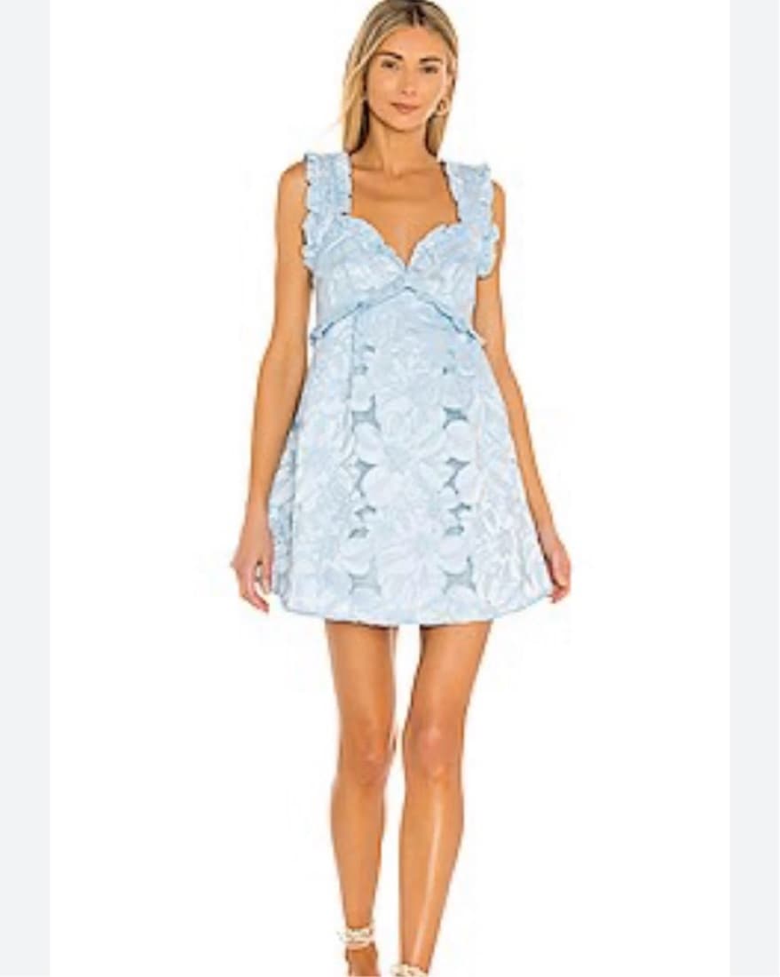 For Love And lemons Evelyn Party Dress  - Image 4