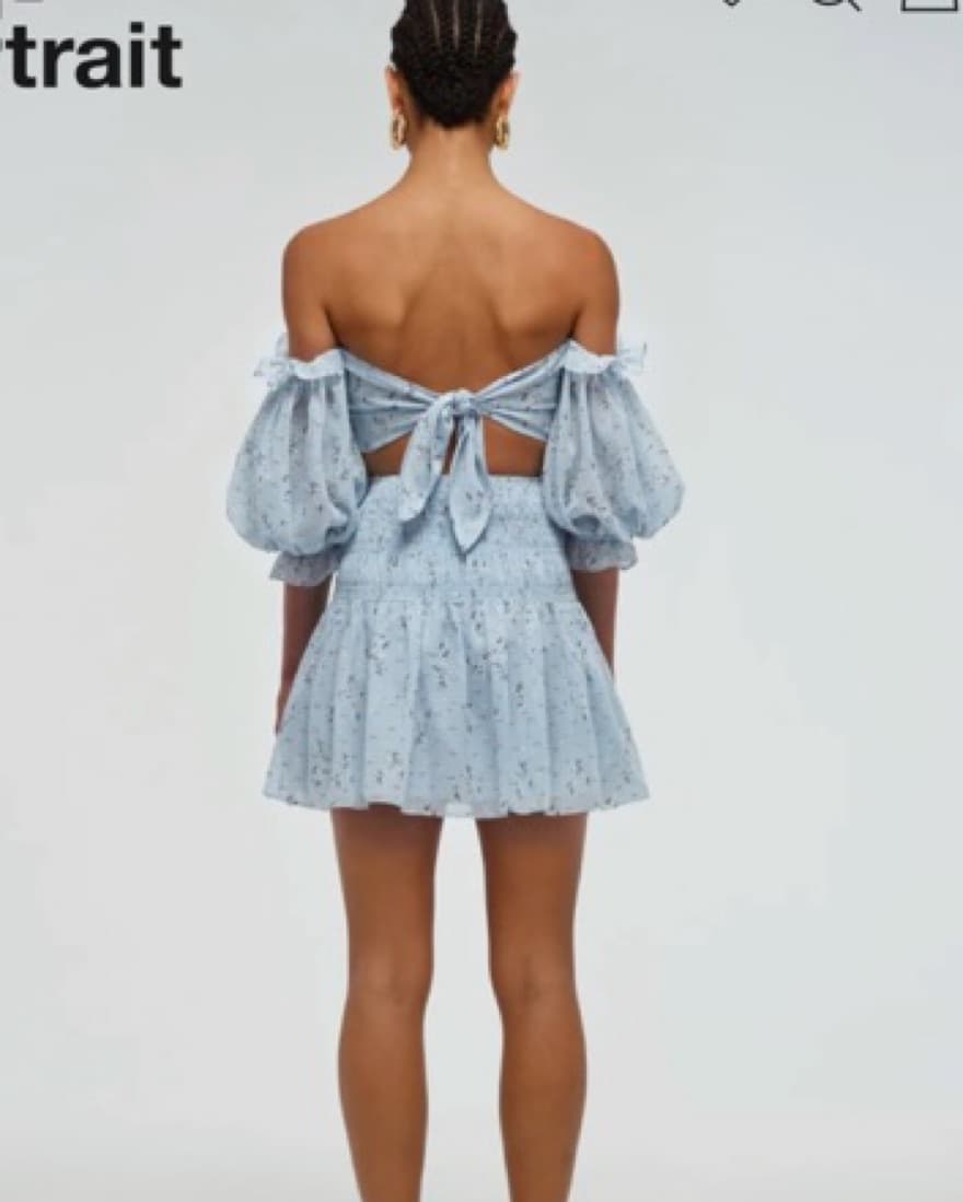 Sslf Portrait Dress - Image 3