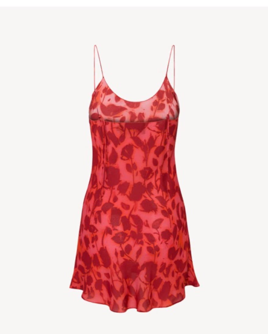The Luz Havana Mini Dress - Image 4