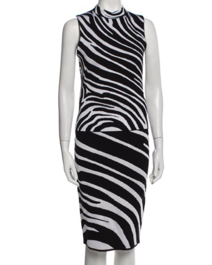 Versace Two Piece Skirt Zebra - Image 2