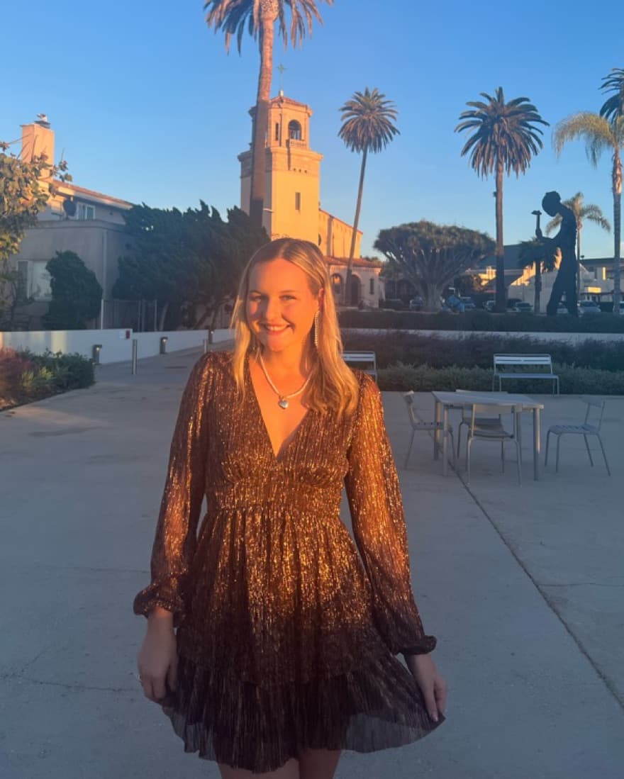 Brown Sparkly Dress - Image 1