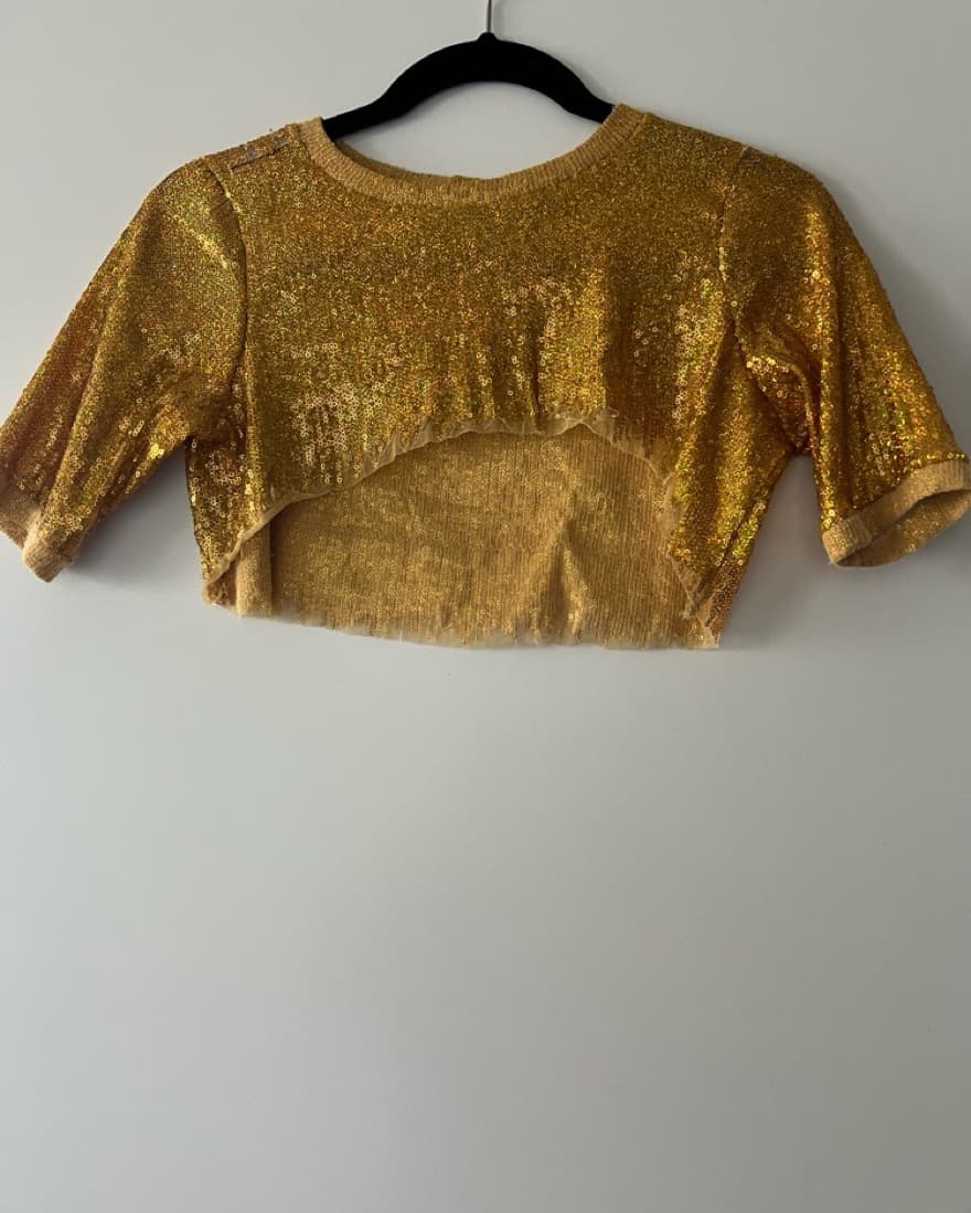 Golden Sequence Cropped Top  - Image 3