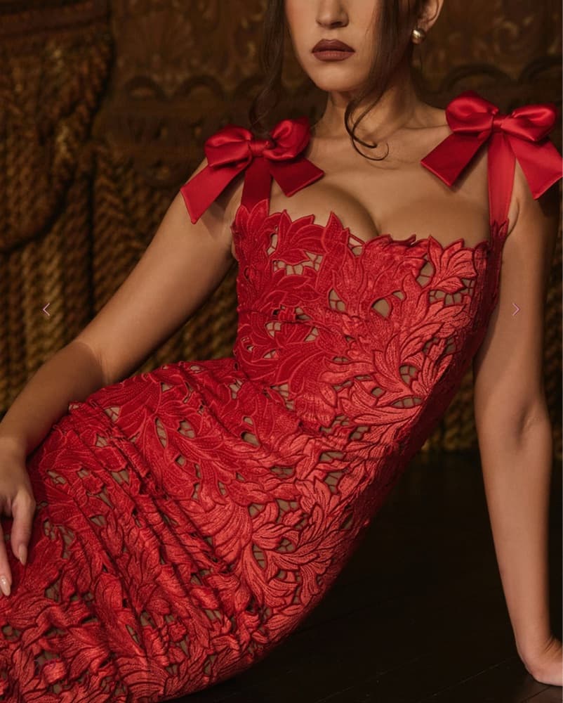 House of CB Tiff Velvet Lace Dress  - Image 5