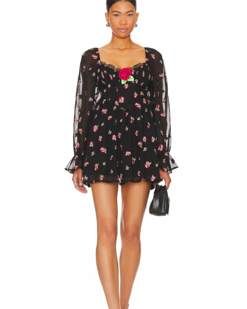 Lovers And Friends Wren Mini Dress  - Image 1