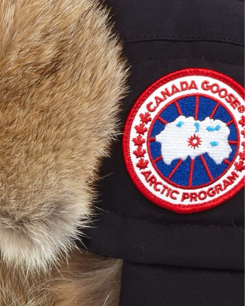 Canada Goose Fur Hat - Image 4