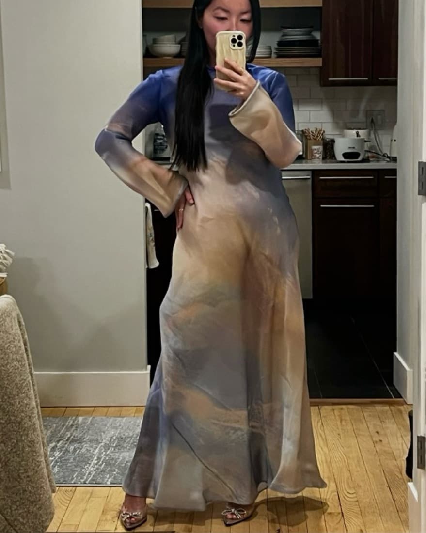 Zimmermann Tama Silk-Organza Gown sz 1 - Image 2
