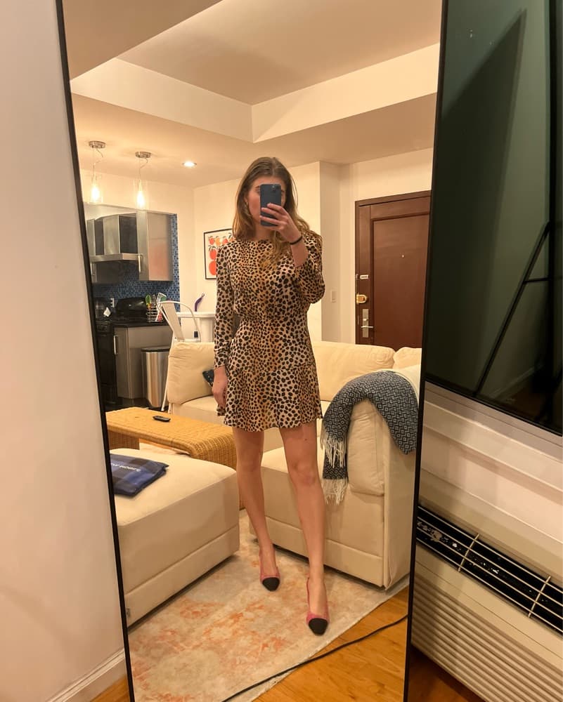 Rixo Kyla Leopard Mini Dress - Image 1