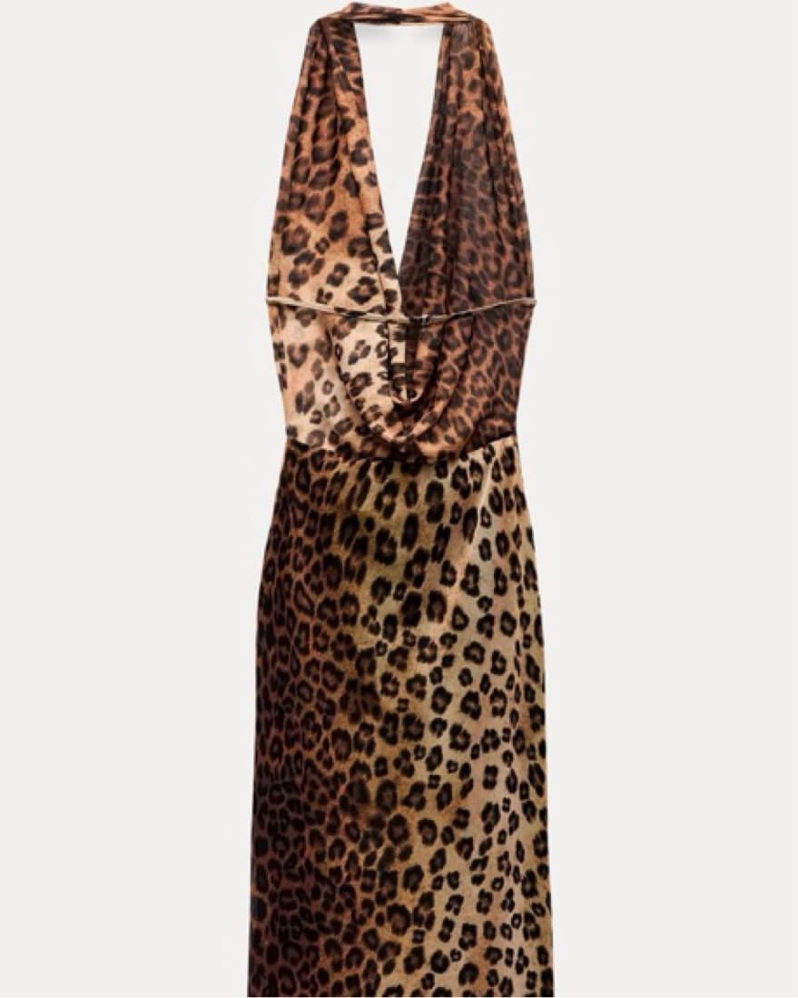 Zara Leopard Halter Mesh Maxi Dress - Image 6