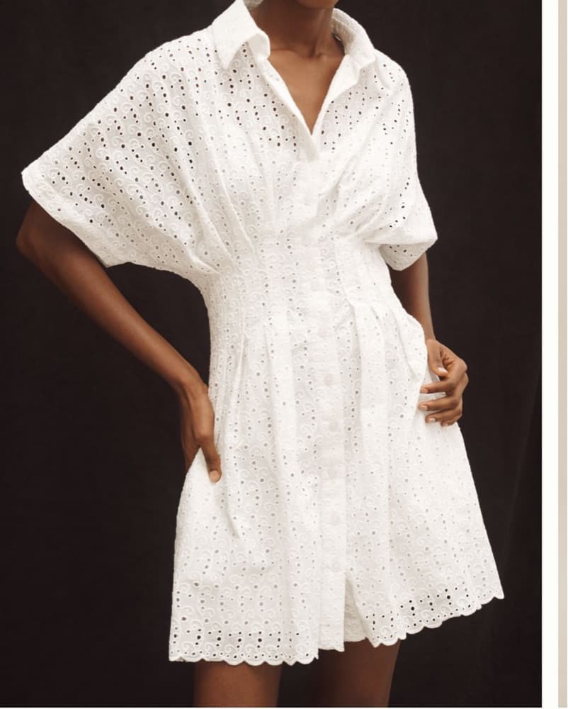 Anthropologie Tobie Lace Mini Dress - Image 2