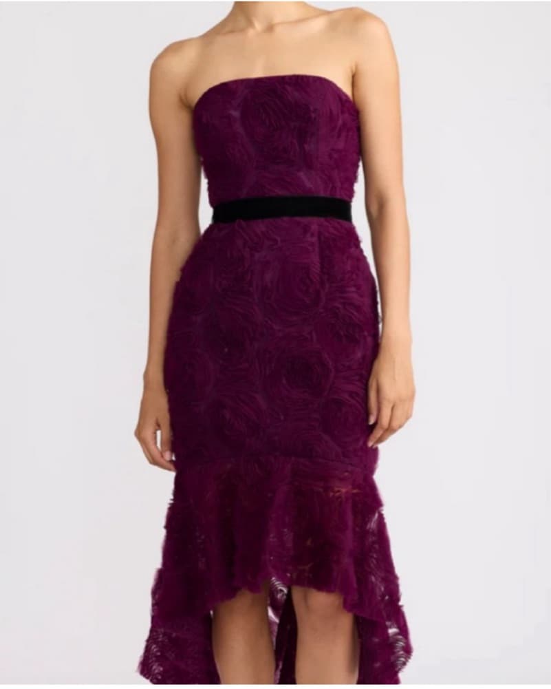 Zac Posen Strapless Purple Dress - Image 1