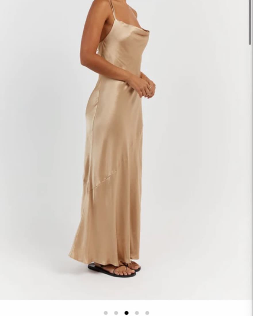 Dissh Champagne Gold dress  - Image 3
