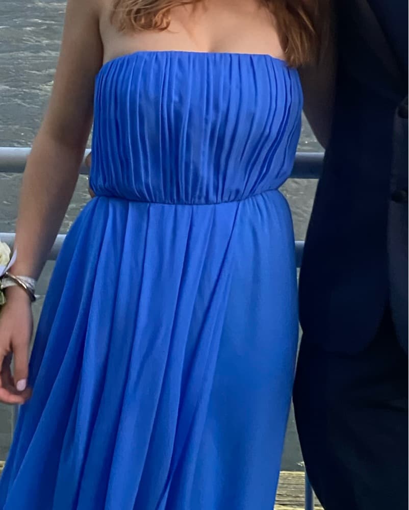 Blue Silk Alice+Olivia Dress - Image 6