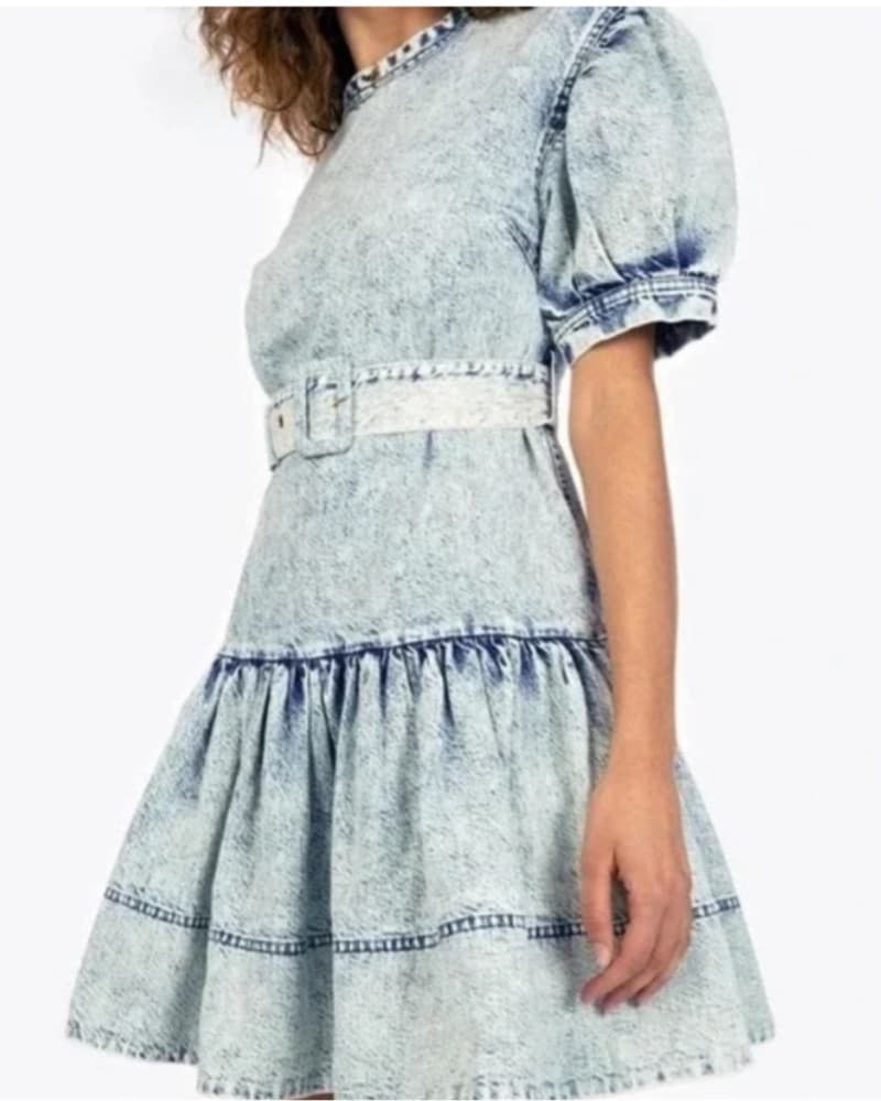 Tanya Taylor Denim Puff Sleeve Dress - Image 1