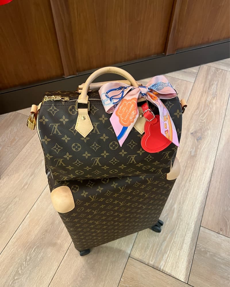 LOUIS VUITTON Horizon  - Image 1