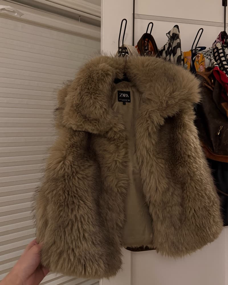 Zara Fur Vest  - Image 1