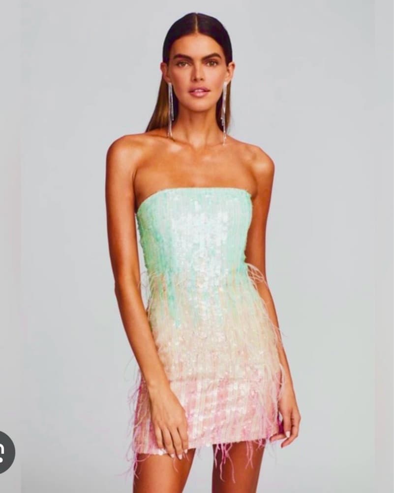 Retrofete Anastasia Sequin Feather Dress - Image 1