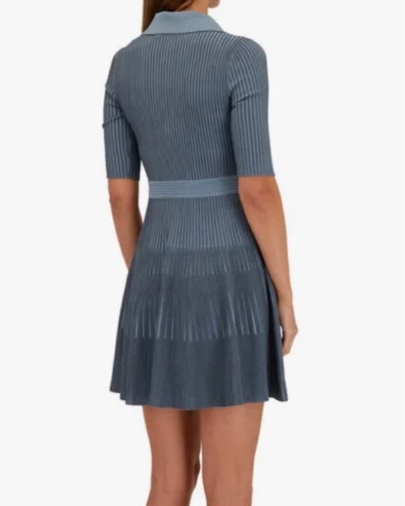 SIMKHAI Patricia Slate Polo Dress - Image 2