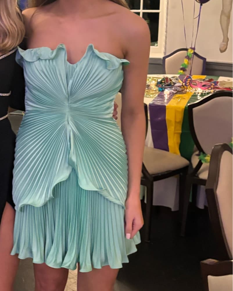 AMUR Seafoam Noa Pleated Mini Dress - Image 3