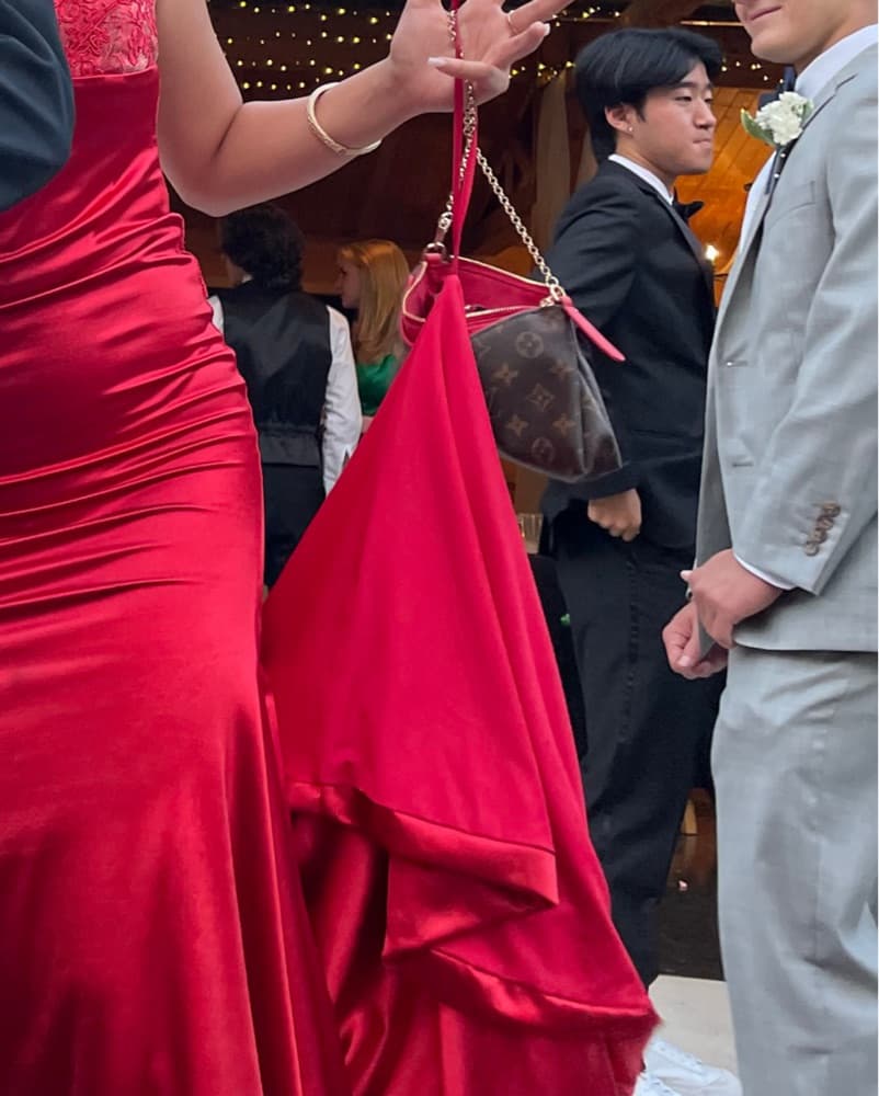 Gemeli Power Lady Mai Dress In Red - Image 5