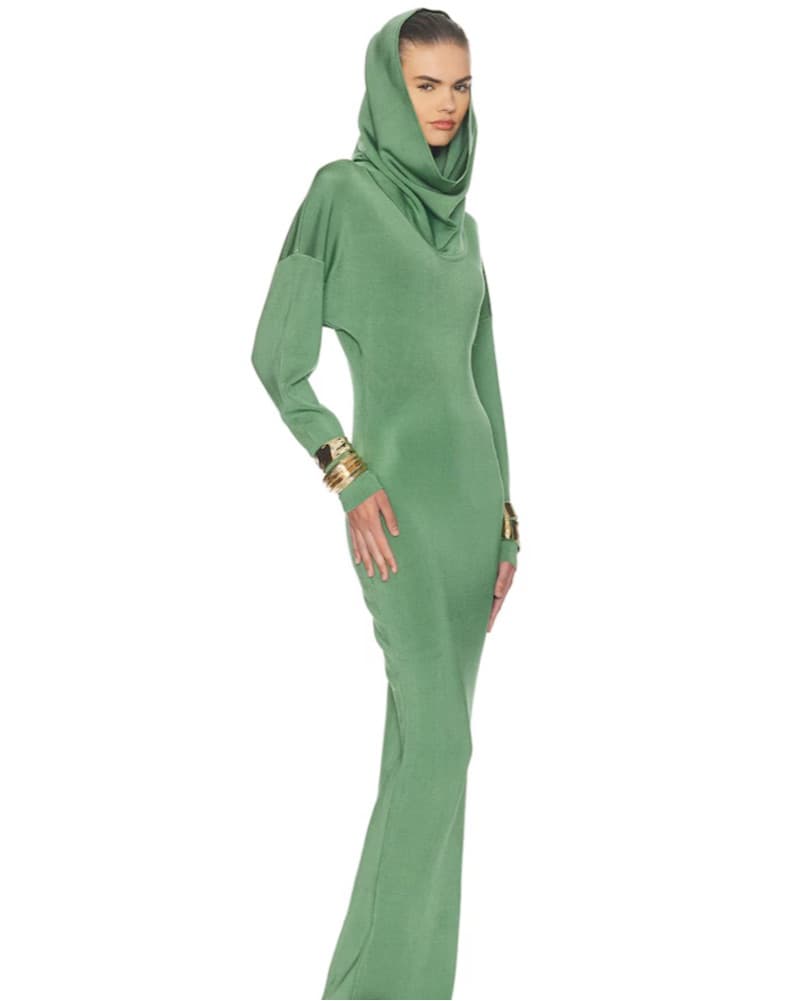 Helsa Hooded Dress  - Image 3