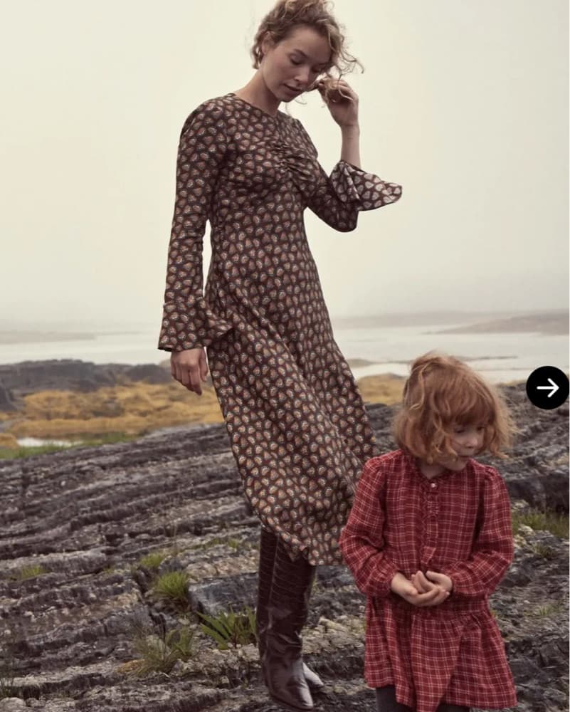 Doen Longsleeve Brown Print Dress - Image 1