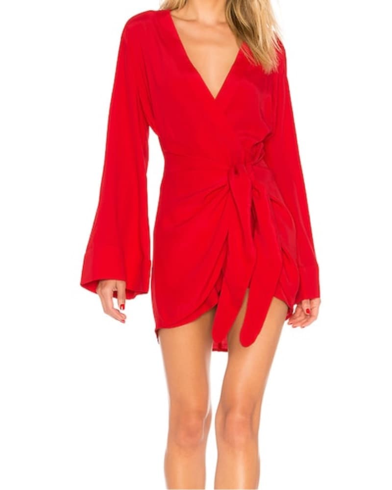 The Janeiro Mini Dress in Red - Image 1