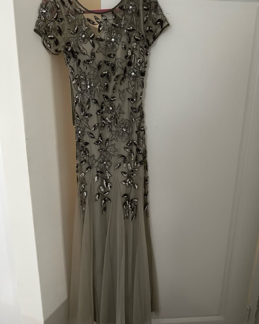 Silver Adrianna Papell Gown - Image 1