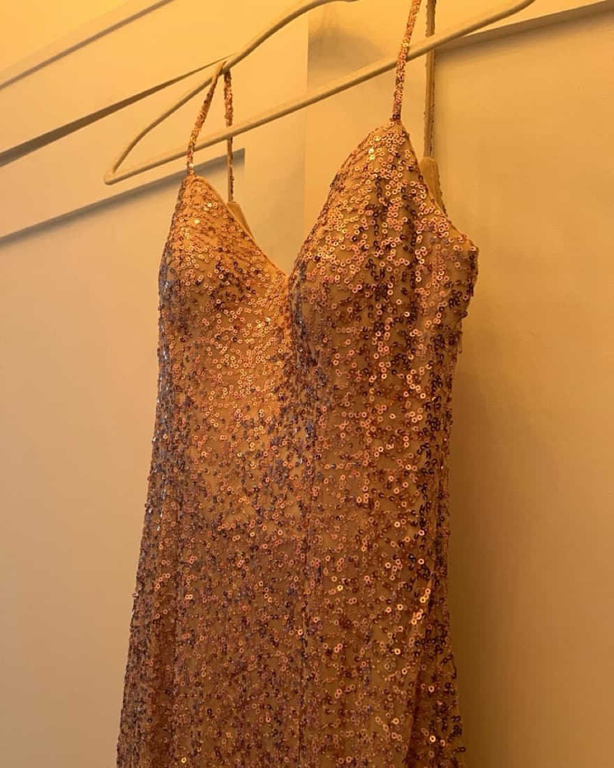 Sequin Nude Gown  - Image 4