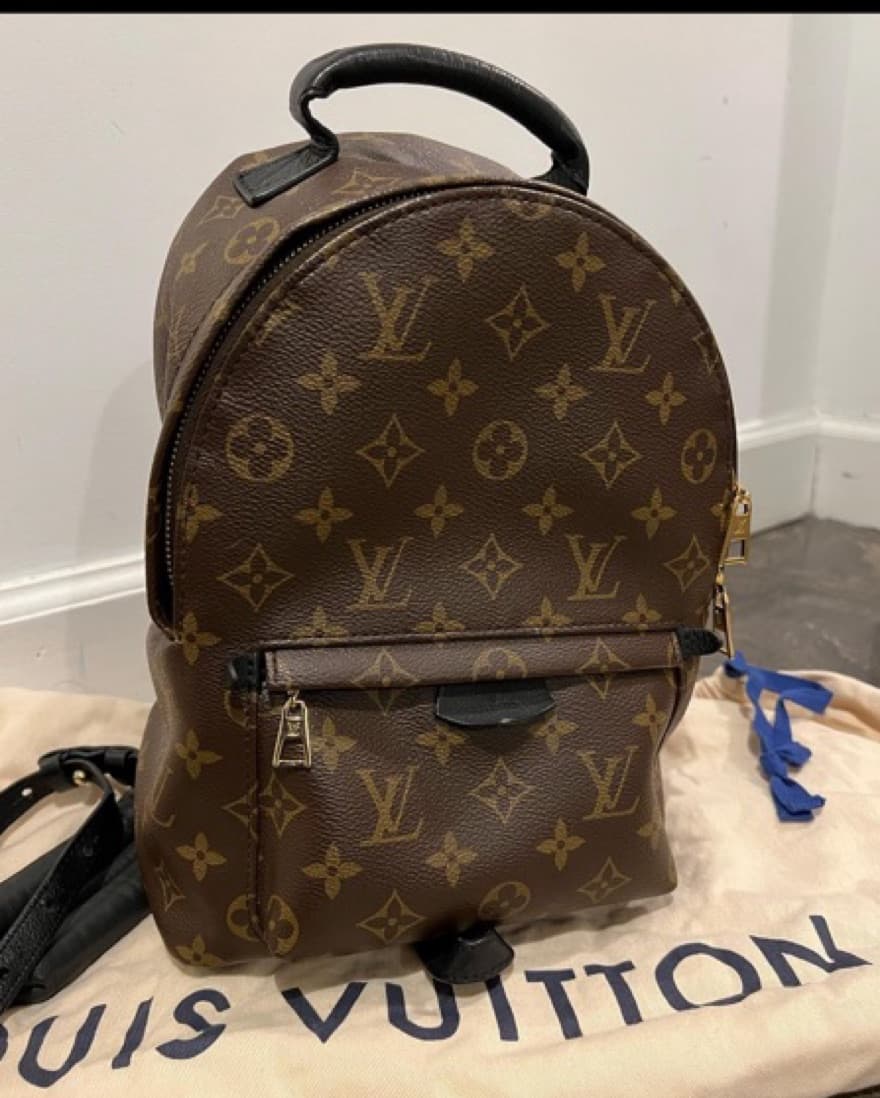 Louis Vuitton Palm Springs PM Bag - Image 1