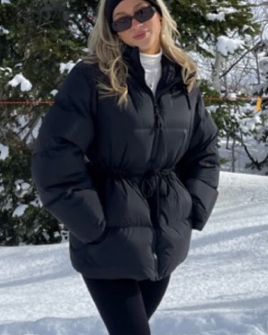 Aritzia Cinch Waist Puffer  - Image 3