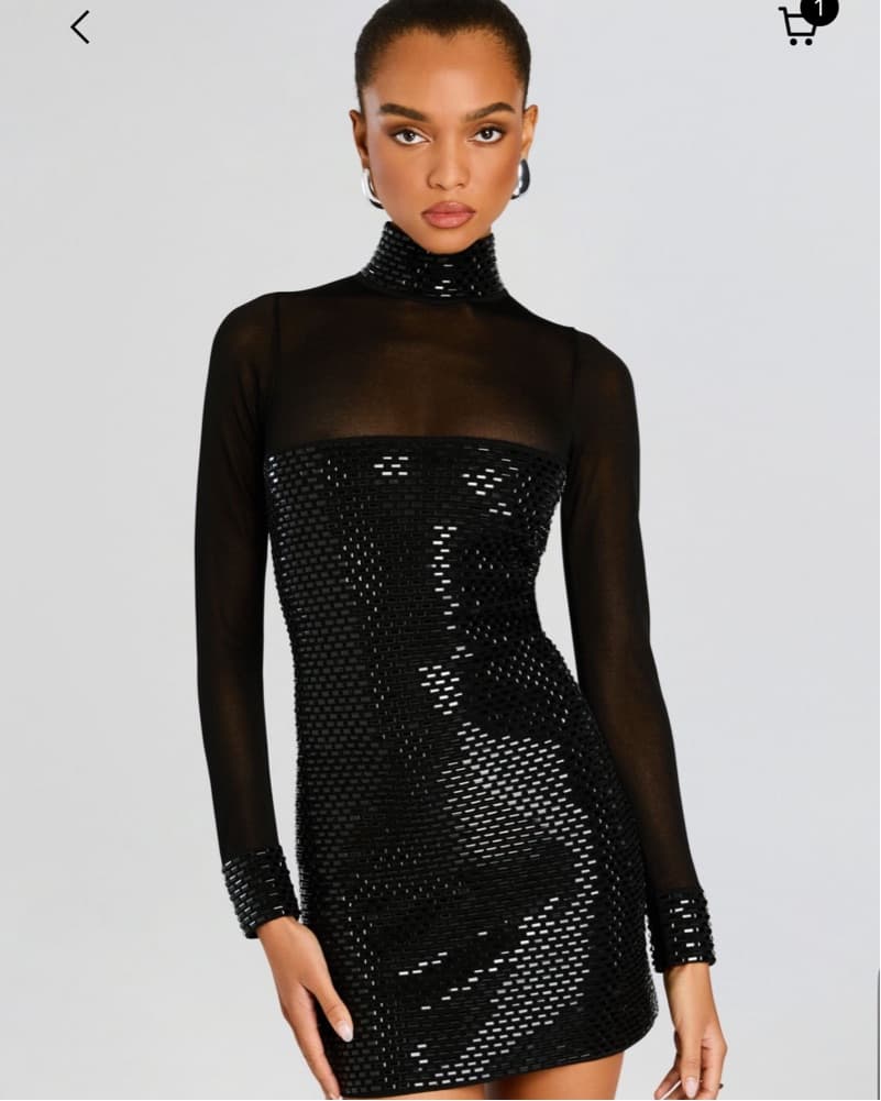 Retrofete willow embellished mini dress - Image 1
