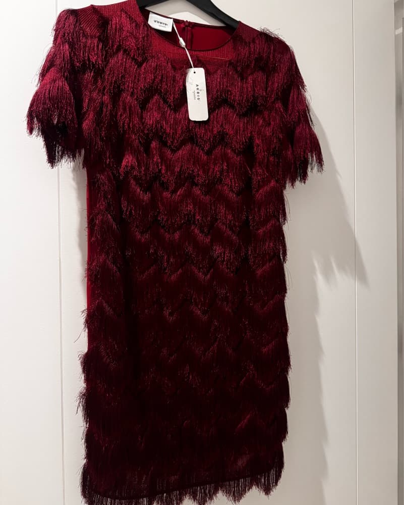 Luxurious Fringed Burgundy Dress - Image 2