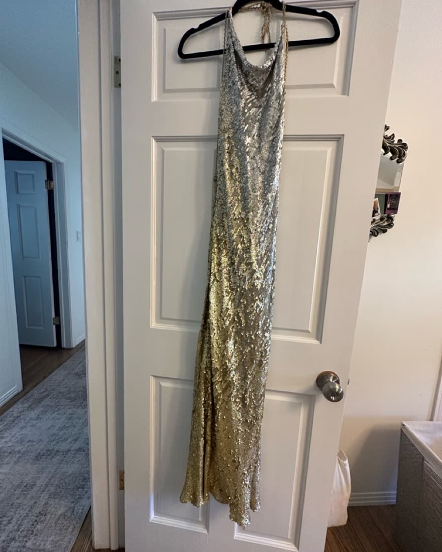 Sequined Ombre Silver And Gols Gown - Image 5