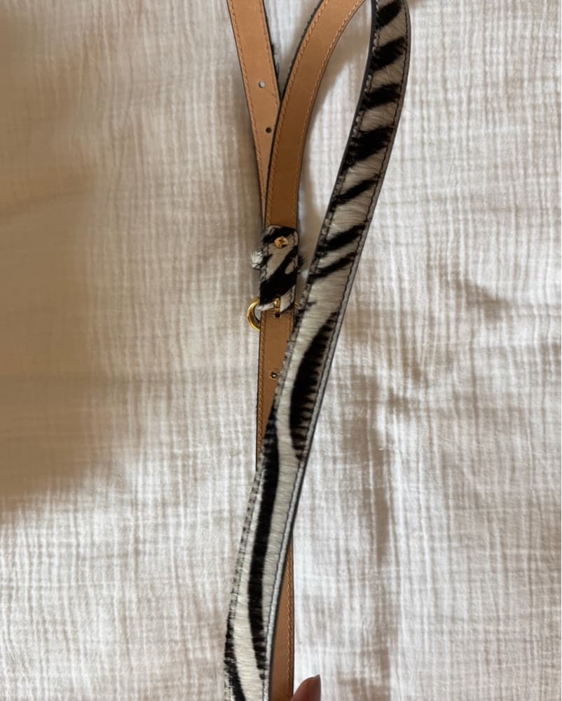 Zebra Belt  - Image 1