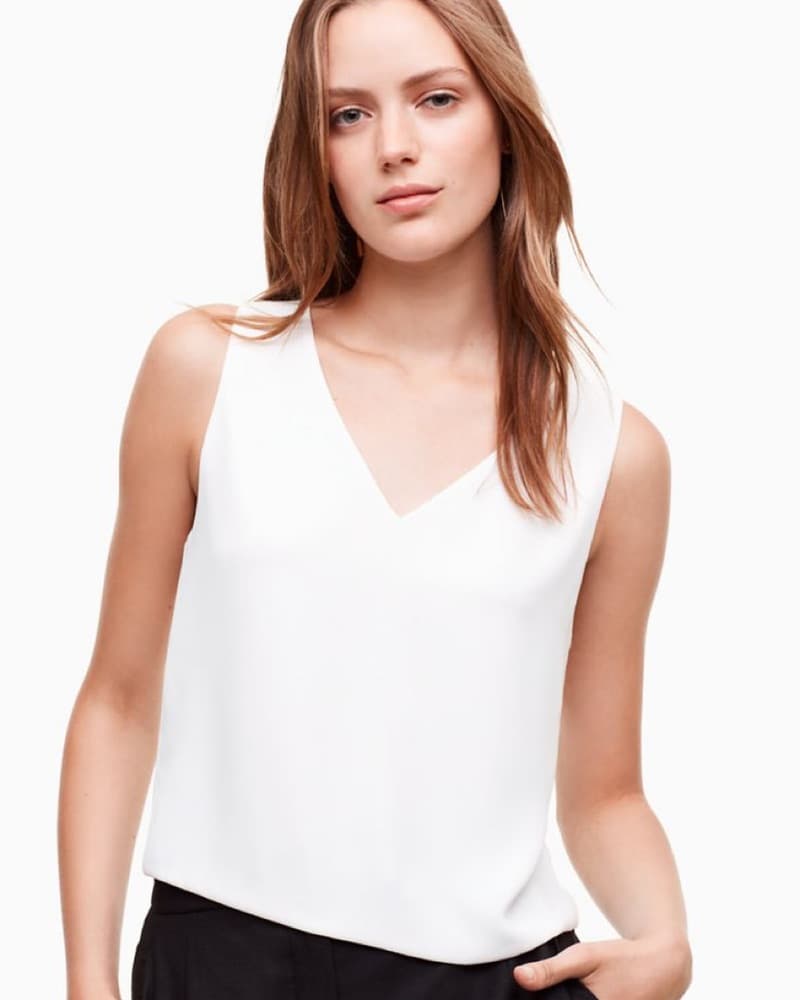 Aritzia Babaton Murphy Sleeveless Blouse - Image 1
