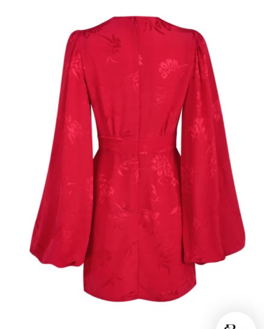 Rat and boa Isabella Red Dress - Image 2
