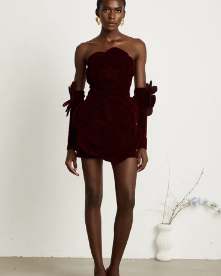 Miss Rosier Red Velvet Dress - Image 2