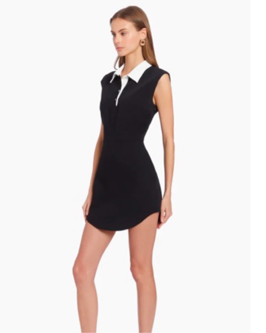 Amanda Uprichard Kearny Dress - Image 4