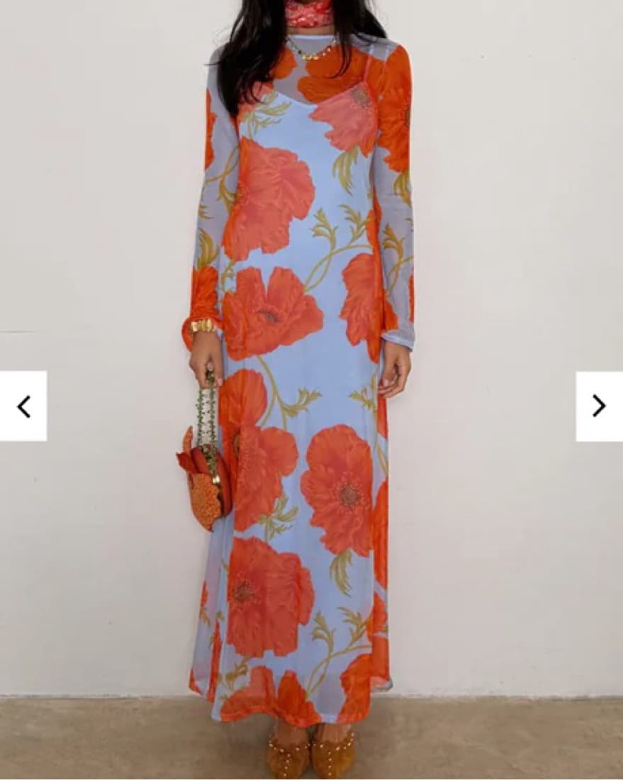 Blue Poppy Aria Mesh Dress - Image 2