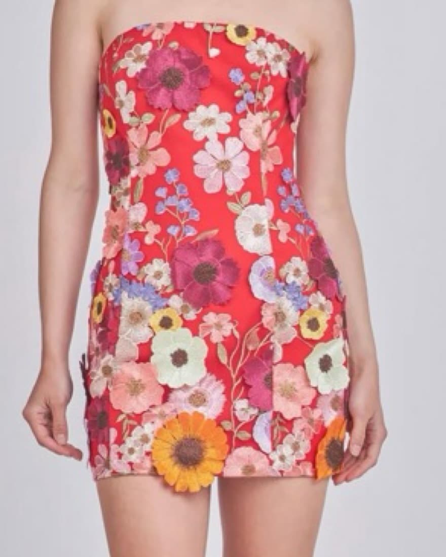 Anthropology  Endless Rose Dressflower - Image 2