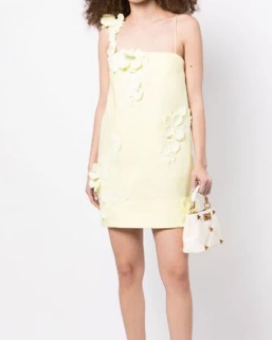 Zimmermann Floral-appliqué Mini Dress - Image 2