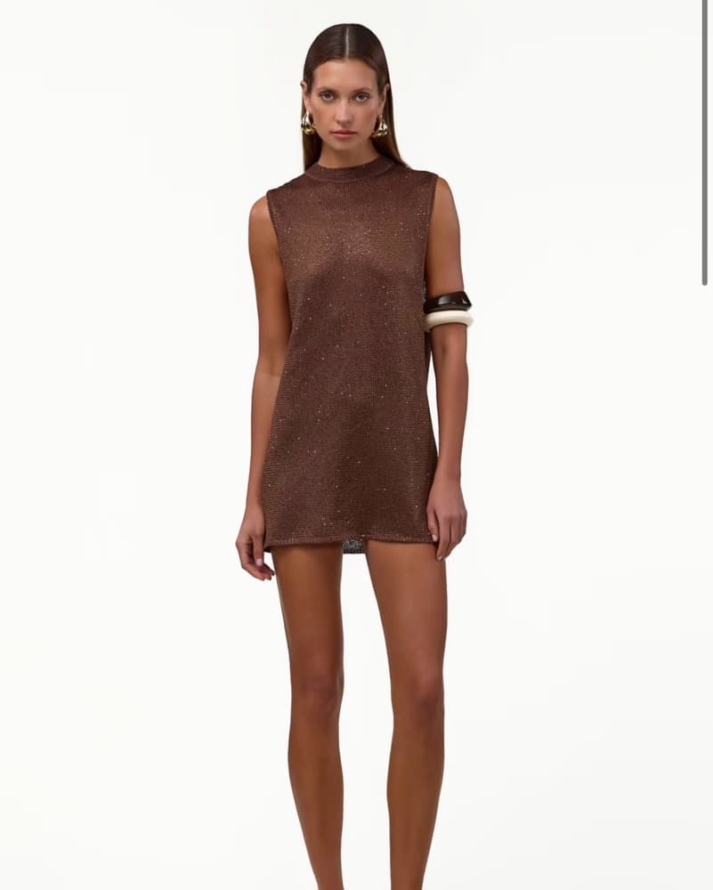 SAME Chocolate brown Mini Dress - Image 1