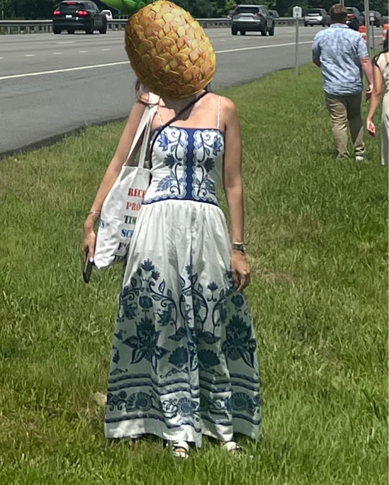 Farm Rio Shell Garden dress - Image 4