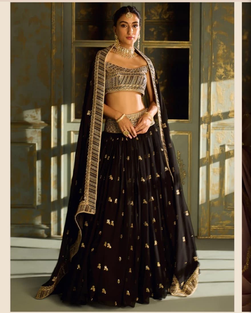 Indian Gold Embroidered Black Lehenga  - Image 3