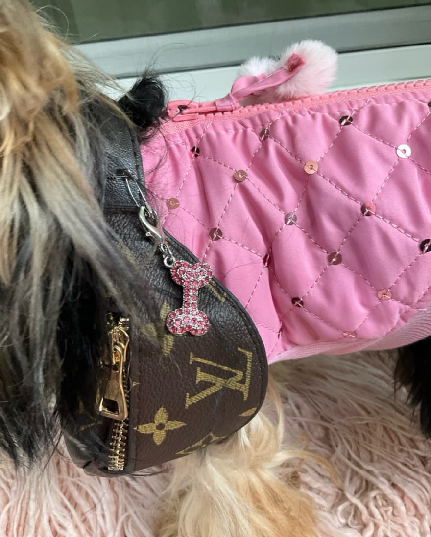 Dog Accessories  - Image 3