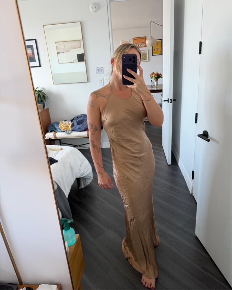 Reformation Champagne Jeany Dress - Image 4