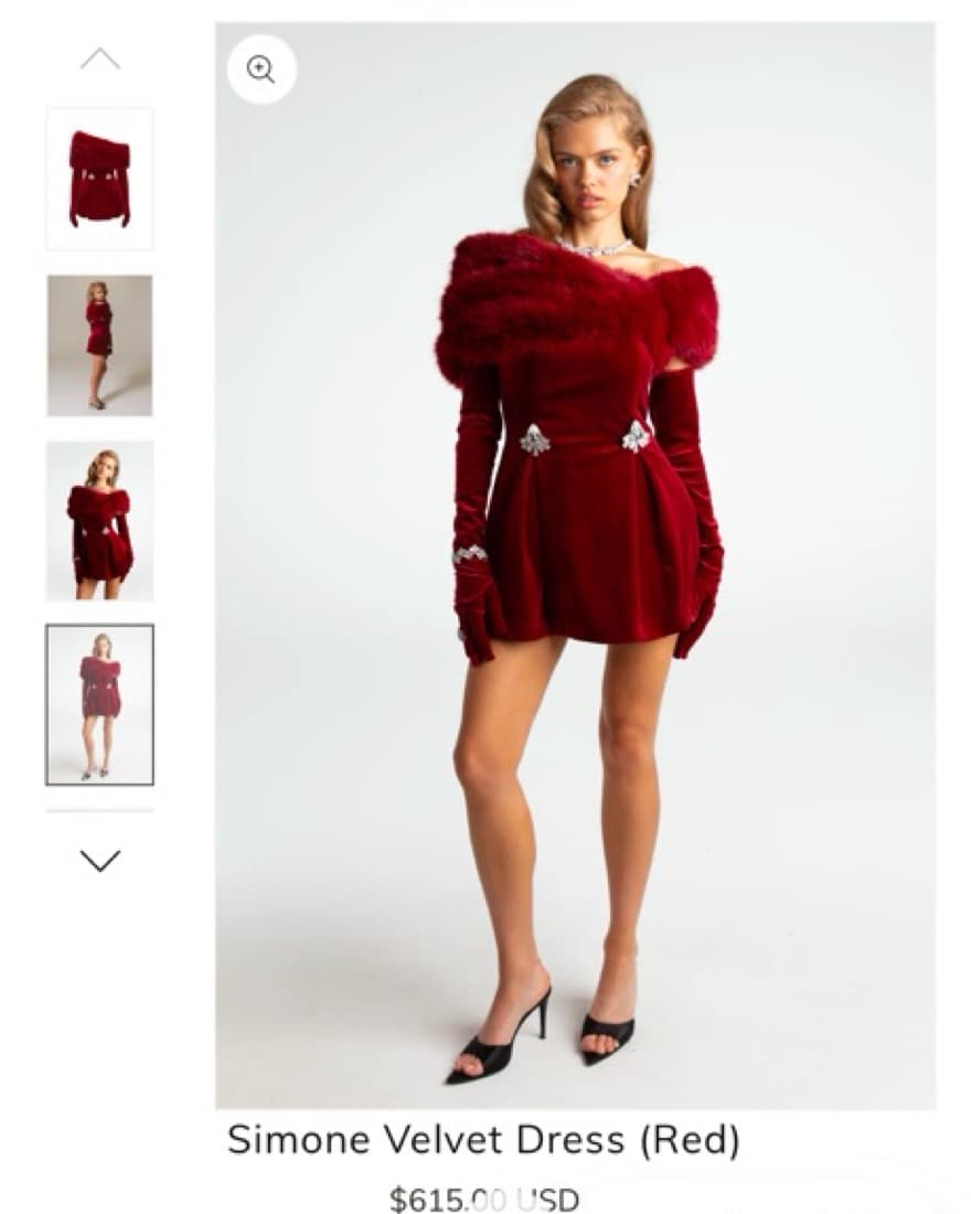 Band New Nana Jacqueline Dress - Image 4