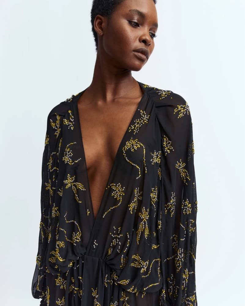 16arlington LICIA DRESS IN CHIFFON - Image 2