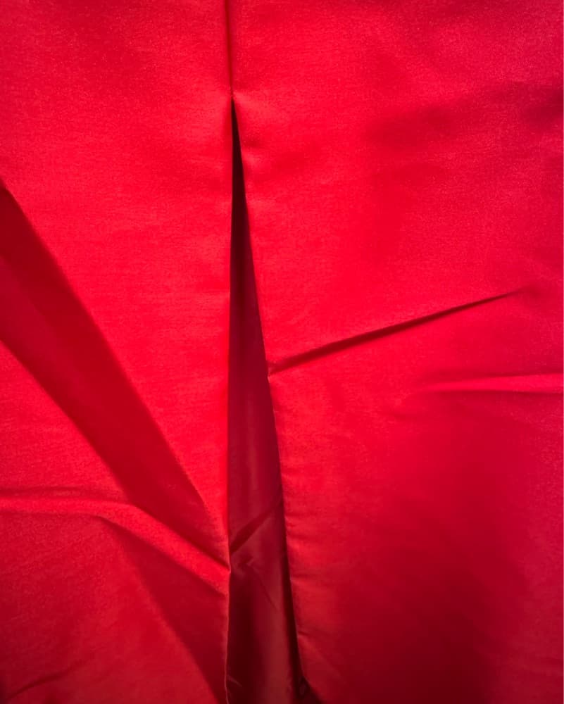 Vers Wang Red mikado Gown - Image 4